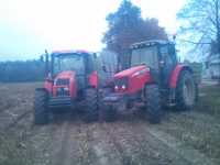 MF i Zetor