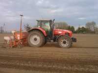 Massey Ferguson 6499 + Gaspardo