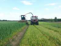 Claas Jaguar 695sl + Zetor 10540