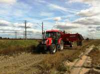 Zetor Proxima 8441