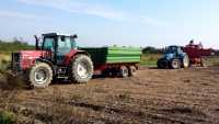 MF8120 + Pronar T663/1 i NH T5.95EC + grimme sr8040