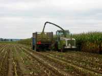 Claas Jaguar 682sl & New Holland + T088