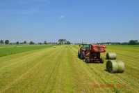 Massey Ferguson & Metal Fach