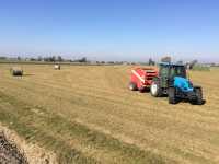 Landini Alpine 70 & Metal-Szajs