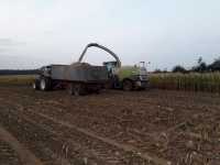 Claas Jaguar 950 i Renault + tandem