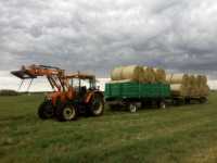 Zetor 7341 & HL8011 & Dłużyca