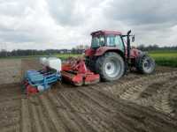 Case cs + Lely + Monosem