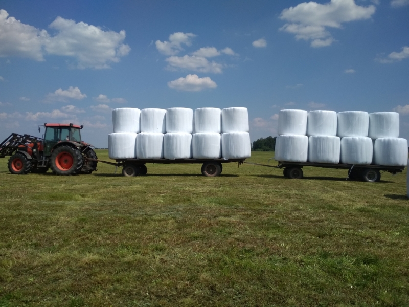 Kubota + bele