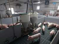 Odchowalnia Odchowalnia