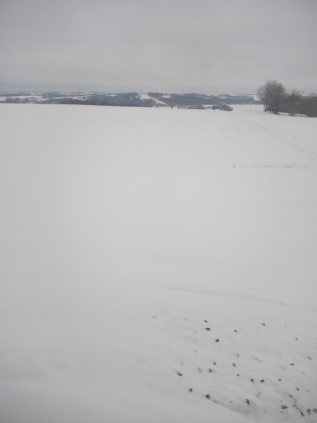 Zima 02.04.2022
