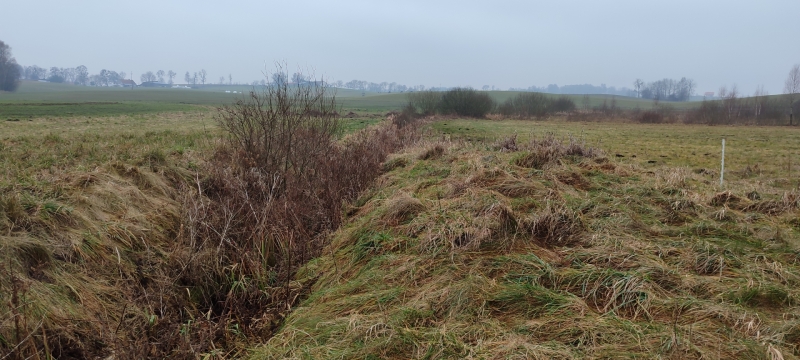 Rów przed wizytą odmularki