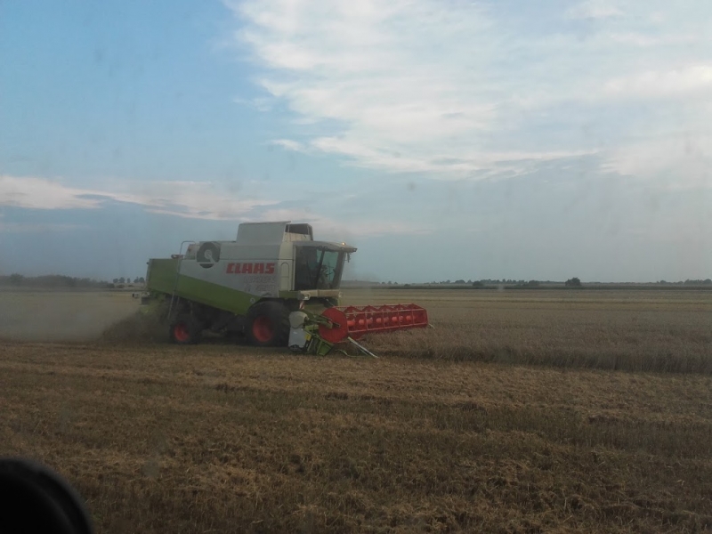 Claas Lexion 450