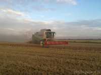 Claas Lexion 450