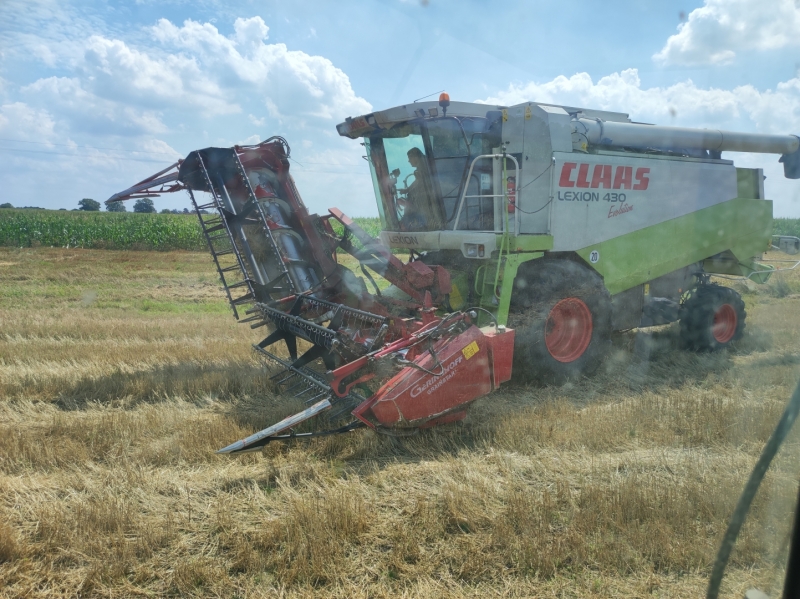 Lexion 430 + geringhoff