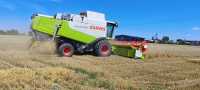 Żniwa 2026 Lexion 550