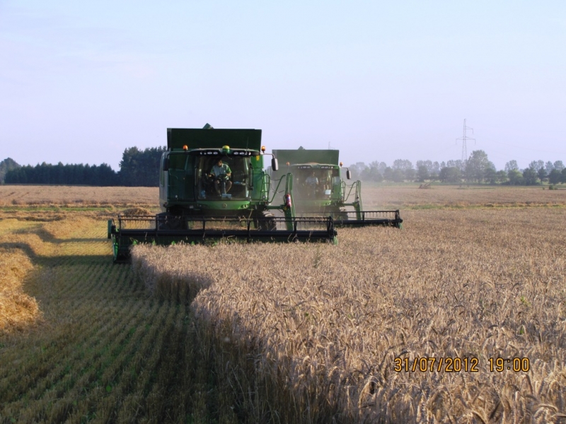 JD T660  /  JD W650i