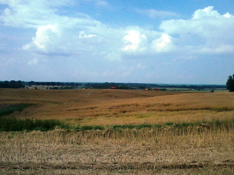 CR 9080 i McCormick+ przyczepy przeładowcze Horsch