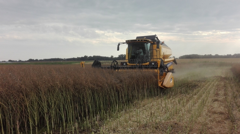 New Holland TC 5070 RS