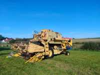 Clayson 1530