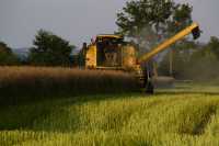 New Holland TC 54