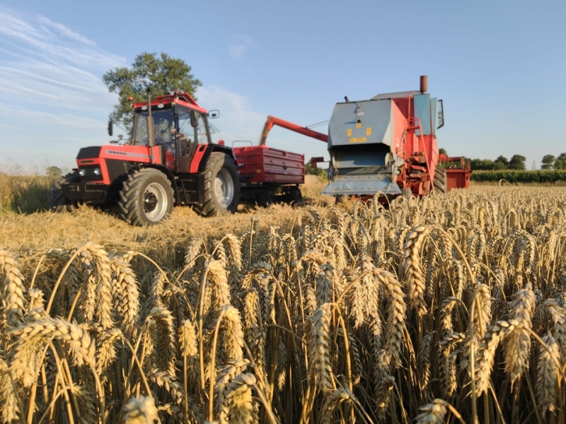 Bizon z056 i ursus 1634 i metal fach