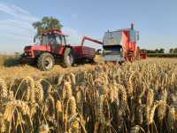 Bizon z056 i ursus 1634 i metal fach