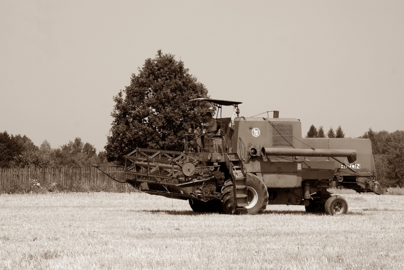 Bizon ZO56