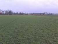 Wintmalt