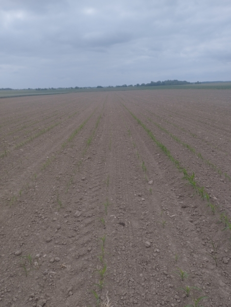 Pioneer p8754