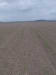 Pioneer p8754