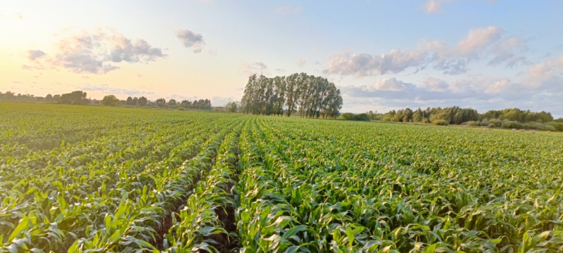 Pioneer p8834