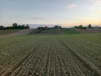 Landrich