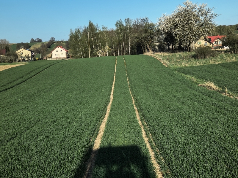 Bilanz
