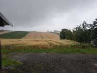 Landrich