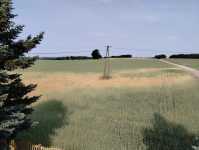 Orinoko
