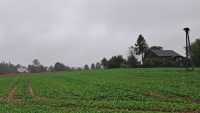 Inv 1179