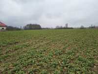 Inv 1170
