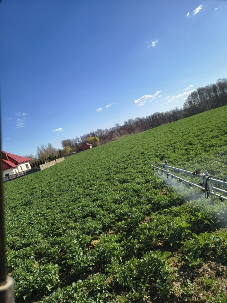 IMG 20250403 155448271 HDR