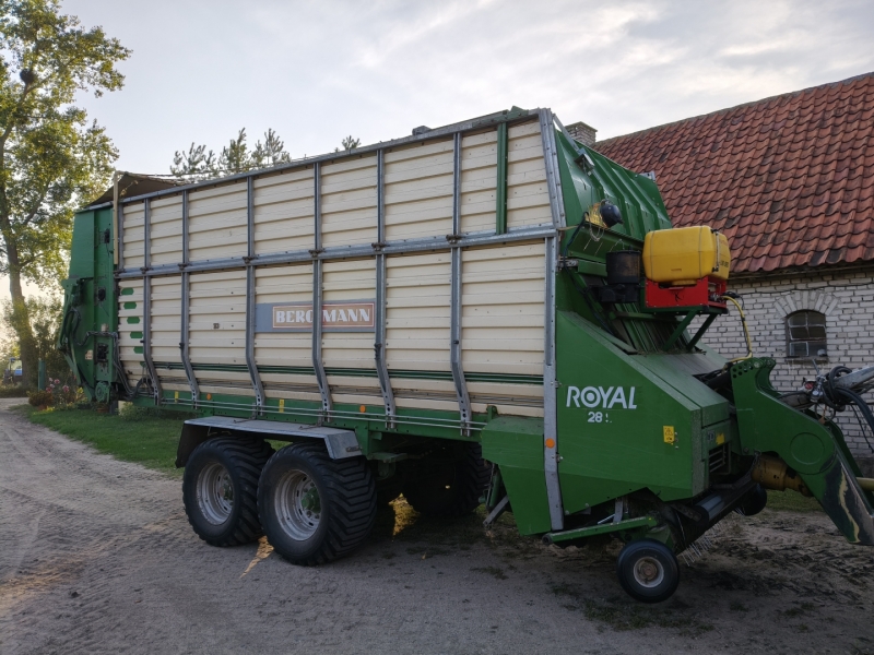 Bergman royal 28s