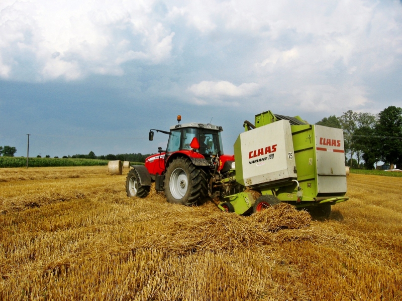 Massey Ferguson 5465 + Claas Variant 180