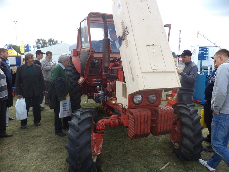MTZ
