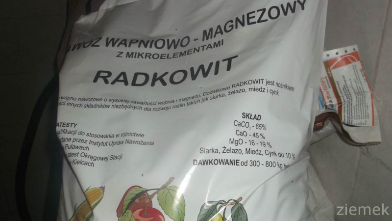 Radkowit