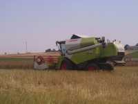 Claas Tucano 320