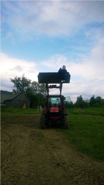 Massey Ferguson 3635 v Stoll Robust F8