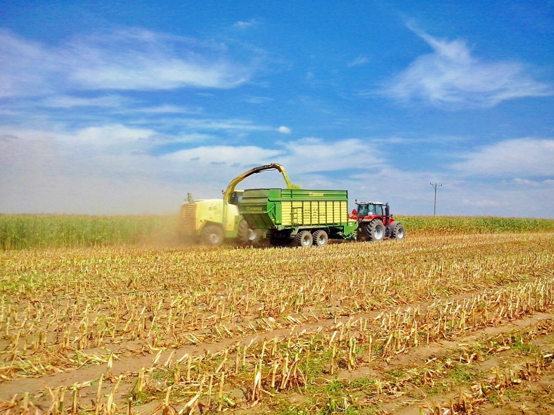 Krone BIG X500 & MF 7619+Krone MX350GD
