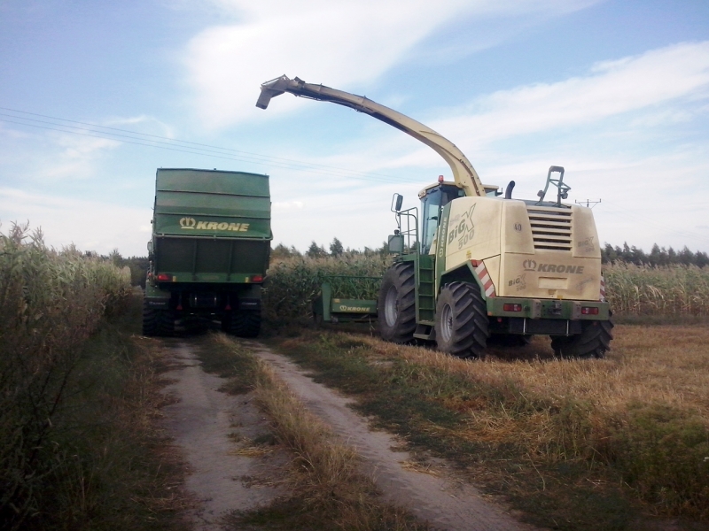 Zestaw Krone