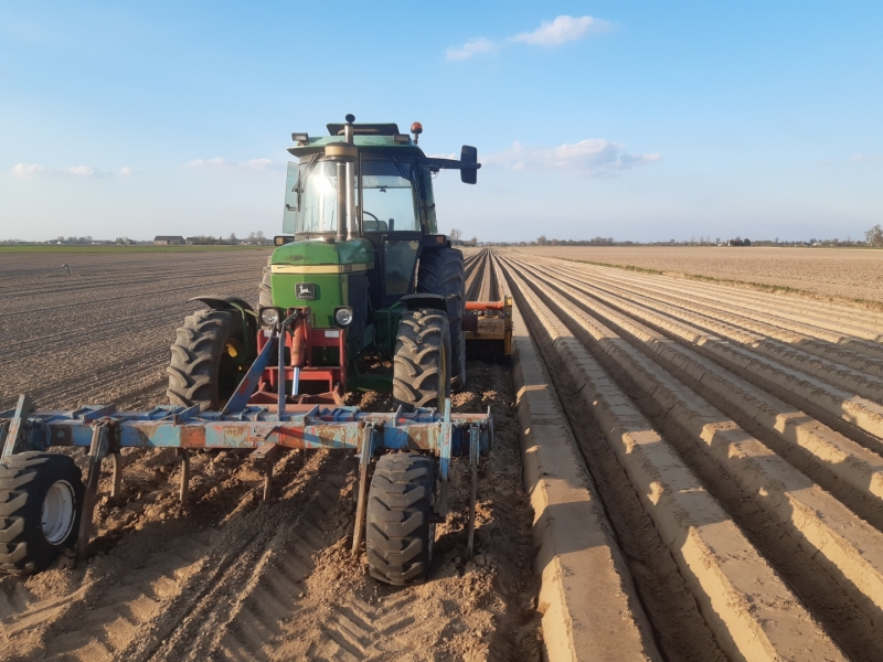 Formy pod marchewkę.