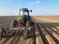 Formy pod marchewkę.