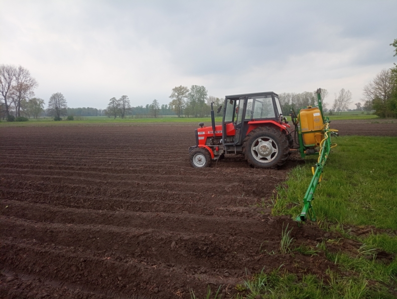 MF 255 + Pilmet