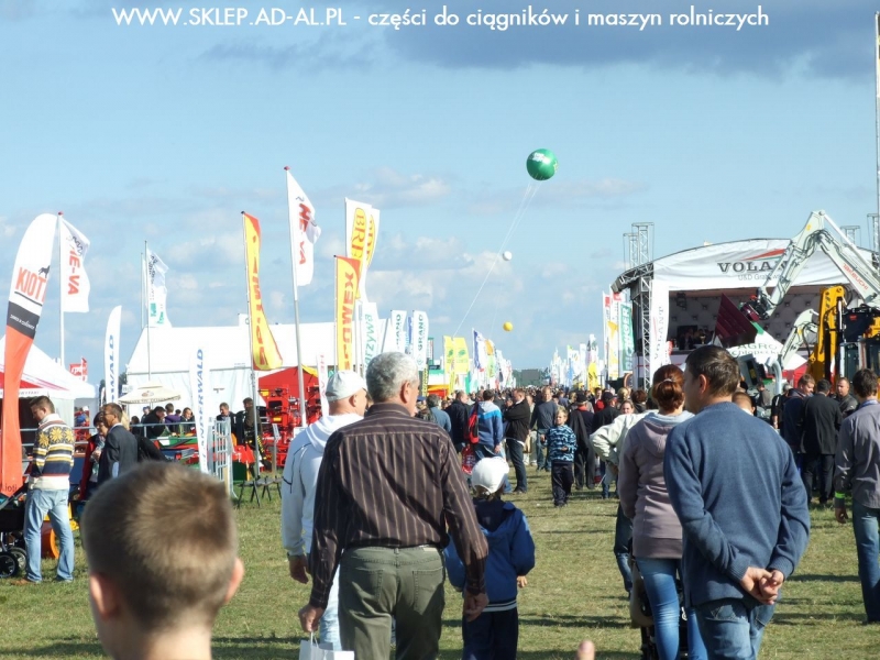 Wzdłuż alejki między sektorami